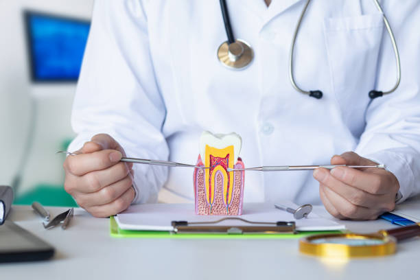 Best Emergency Treatment for Toothache in Albert Lea, MN